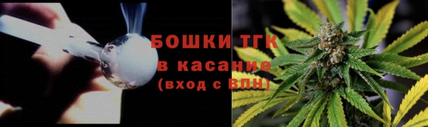 крисы Гусев