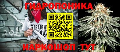 прущая мука Краснокаменск