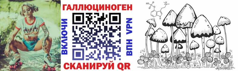 гидра онион наркота Елизово Галлюциногенные грибы мухоморы